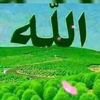 user8461377450480