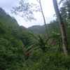 arif.hidayat6621
