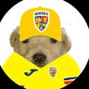 halamadridinadamas