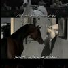 menna98998