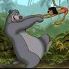 baloo6599