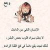 user3908106824963
