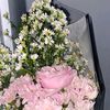 bcill_141