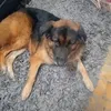 benslam7