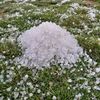 user202039614122