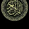 sadeg4762