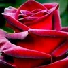 user8824986015865