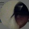 e_o_isaqw