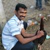 user5333142315184