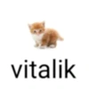 viitaliik