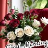 naveed.wafa8