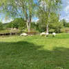 viede.mavie