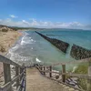 zouzou.ben_50