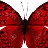 red.butterfly177