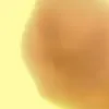 apple.user355657