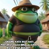 diee5241