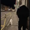 mdmz93