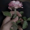 hayat_123457