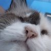 julioo044