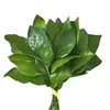 nguyn.an.nhin73