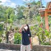 celsy2447