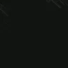 dylanpalleros1