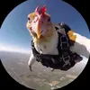 parachutechicken