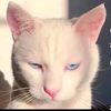 hami_4314