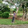 rkyy.ar5