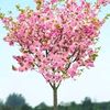 bunga.sakura141