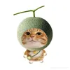 quinh_0711