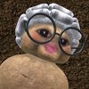 slsabllaza