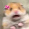 aclairyx_sandiego