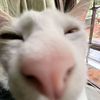 denrorrr0