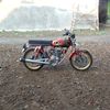gepengg321