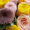 user3303193050143