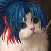 usrd___555