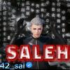 42_sal