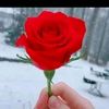 user2133394019298