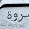mi.mi.20.02