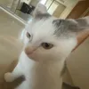 toxic.alisoch