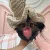 dogty_0000