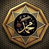 user8461870593061