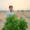 faisalbaloch5580
