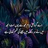 zaib.khan264