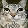www.tiktok.com7670