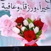 maryamalrashed599