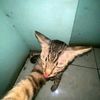 irfan.danish73