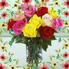 abdul.ghafoor8145