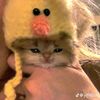 karinaaaglisyee27